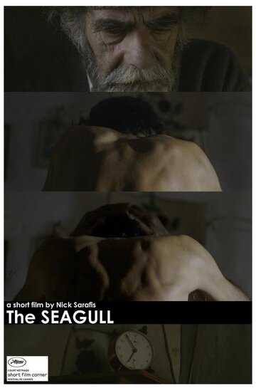 Seagull (2013)